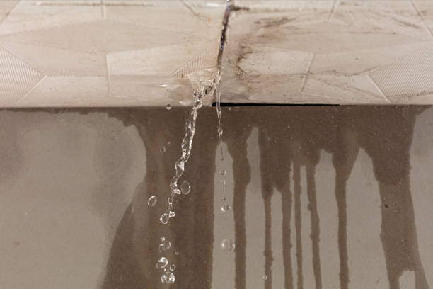 Professional Structural Drying technician working in Cecil, OH
